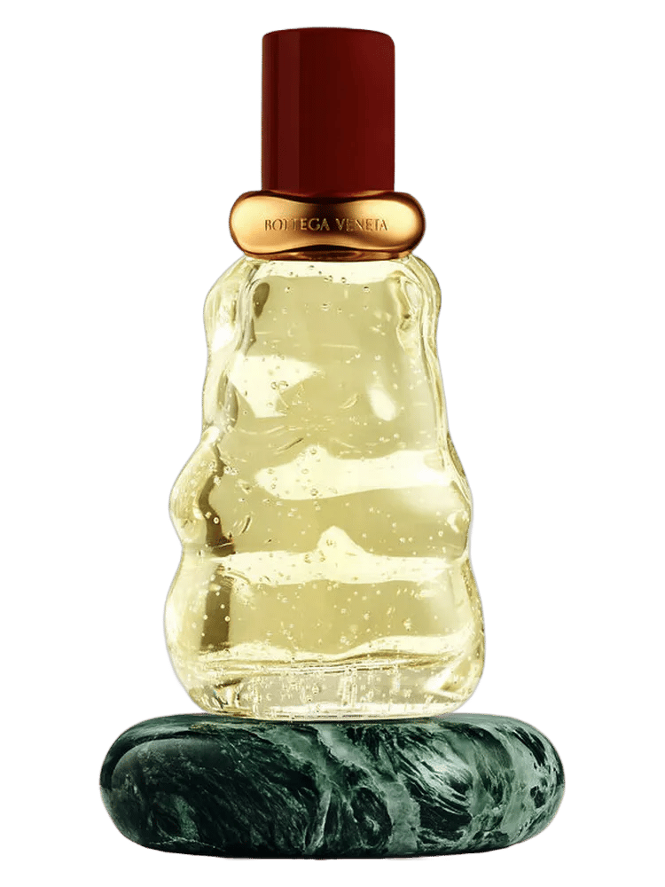 Come With Me by Bottega Veneta