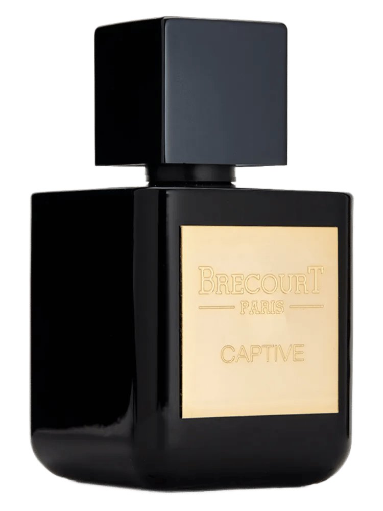 Captive by Brecourt