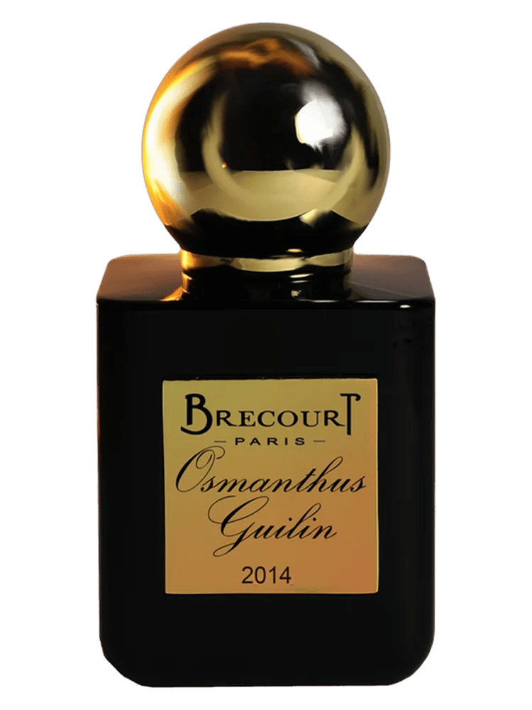 Osmanthus Guilin by Brecourt