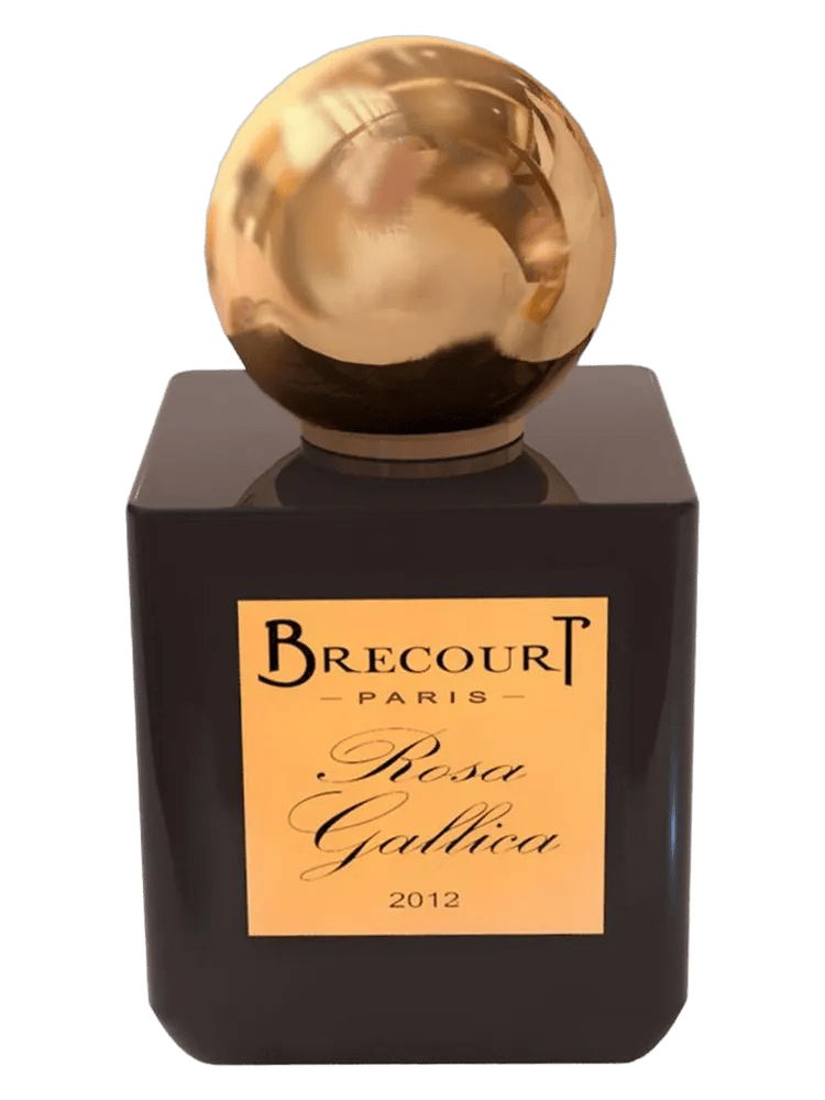Rosa Gallica by Brecourt
