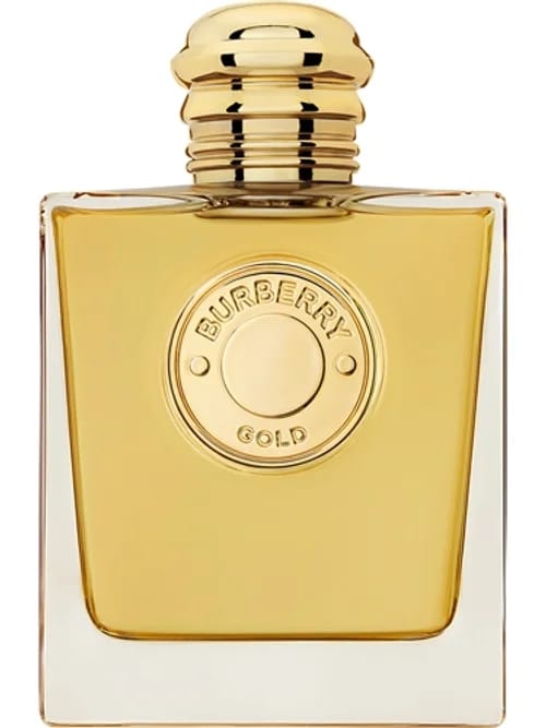Gold Intense by Burberry