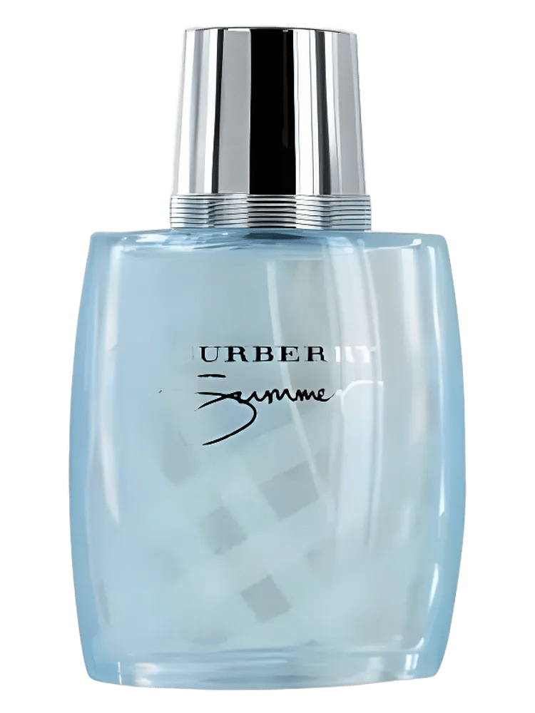 Burberry Summer for Men 2010 by Burberry