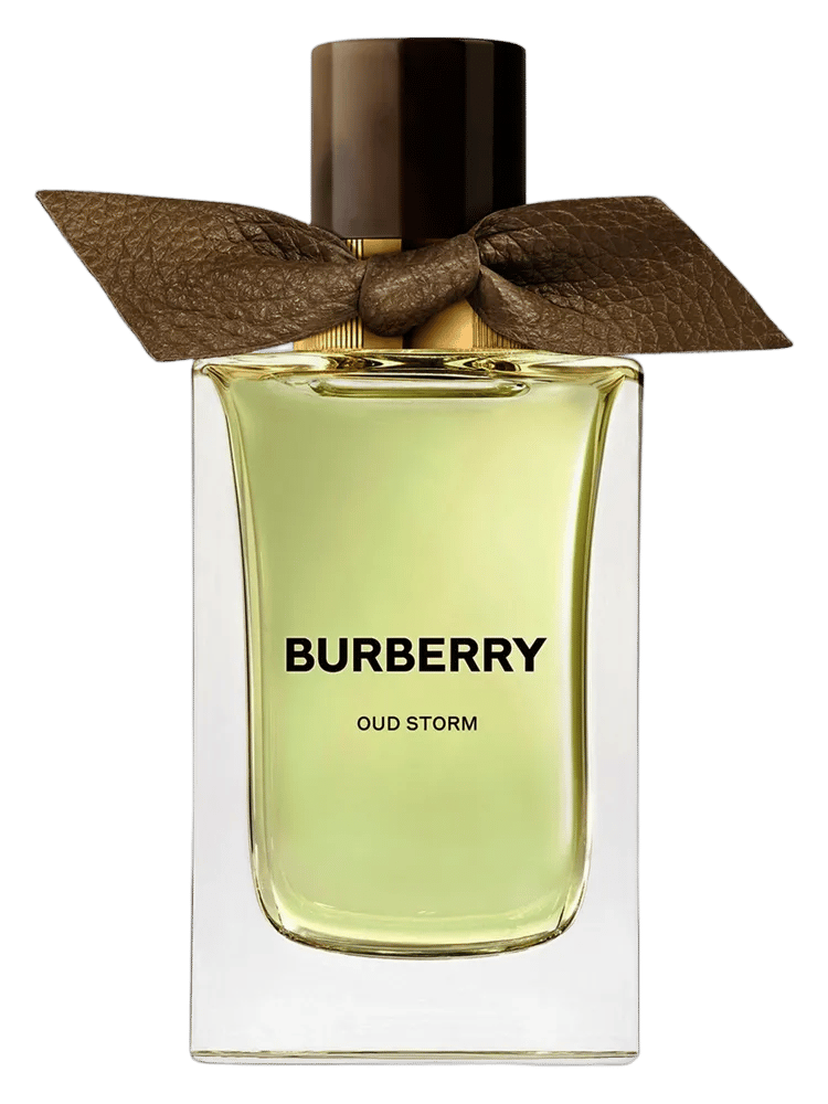 Oud Storm by Burberry