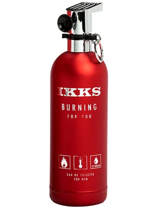 Burning For You by Ikks