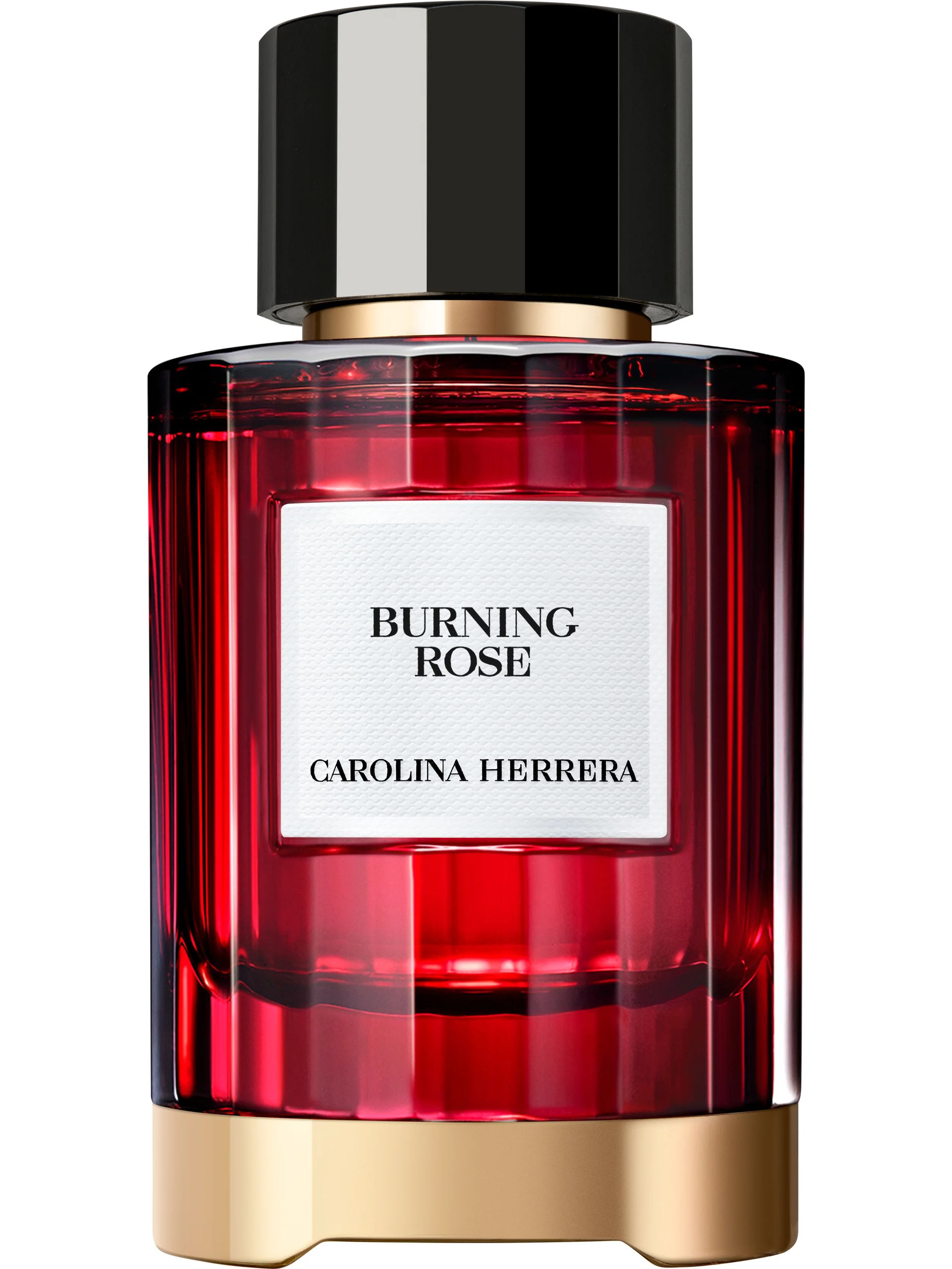 Burning Rose by Carolina Herrera