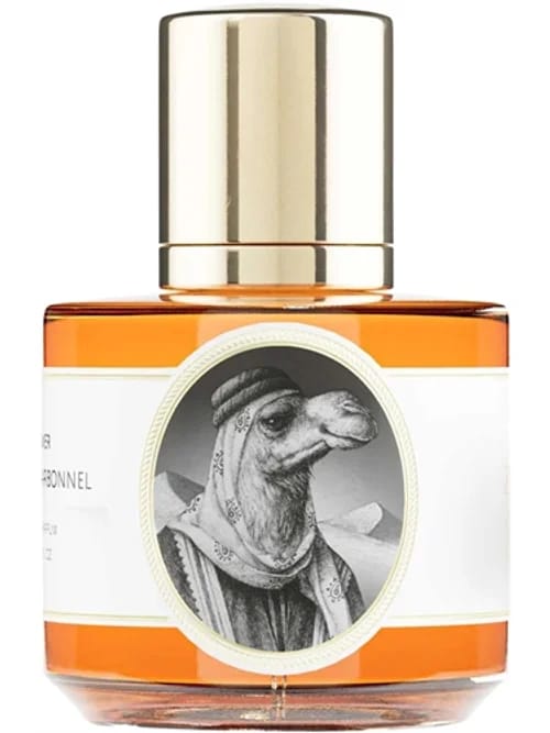 Camel by Zoologist