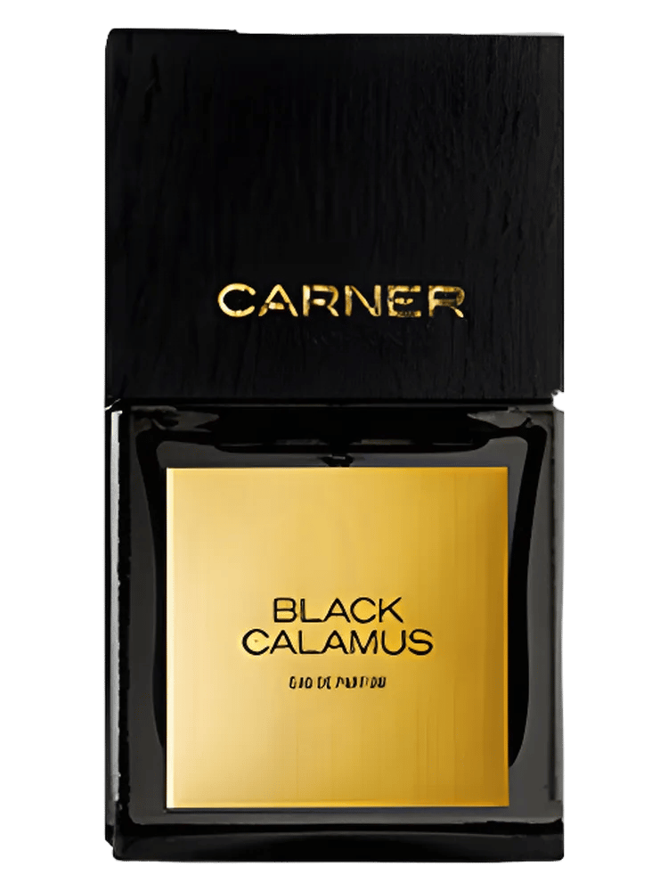 Black Calamus by Carner Barcelona