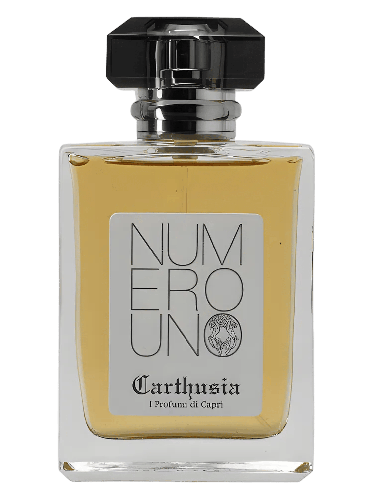 Numero Uno by Carthusia
