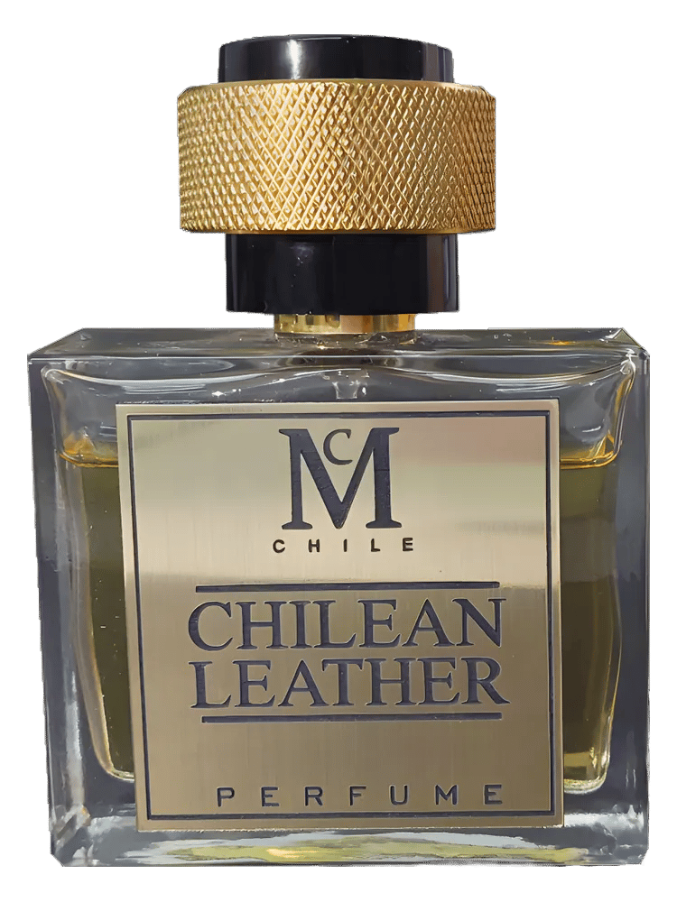 Chilean Leather by Casaniche