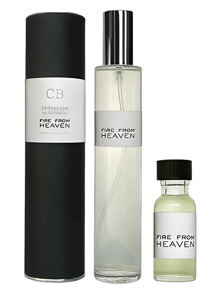 Fire From Heaven by Cb I Hate Perfume
