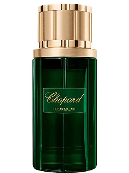 Cedar Malaki by Chopard