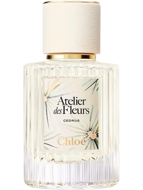 Cedrus by Chloé