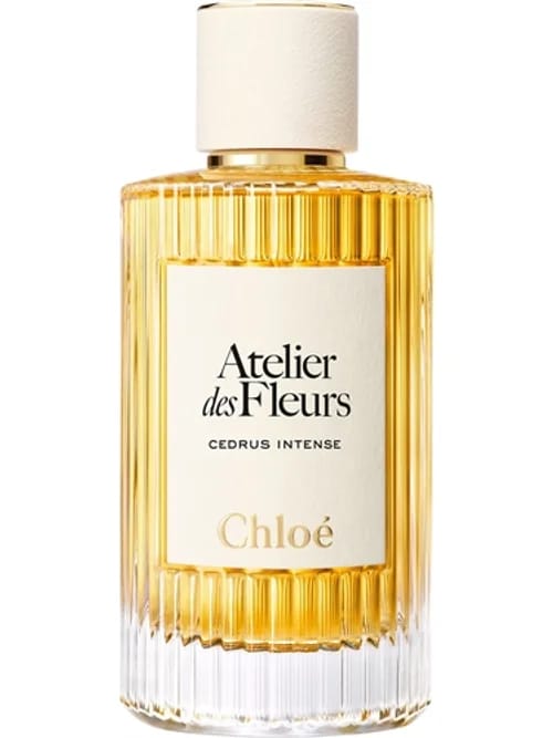 Cedrus Intense by Chloé