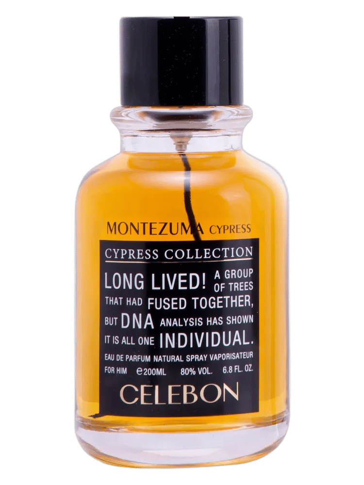 MONTEZUMA by Celebon