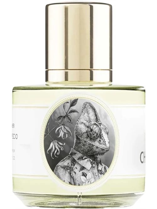 Chameleon by Zoologist