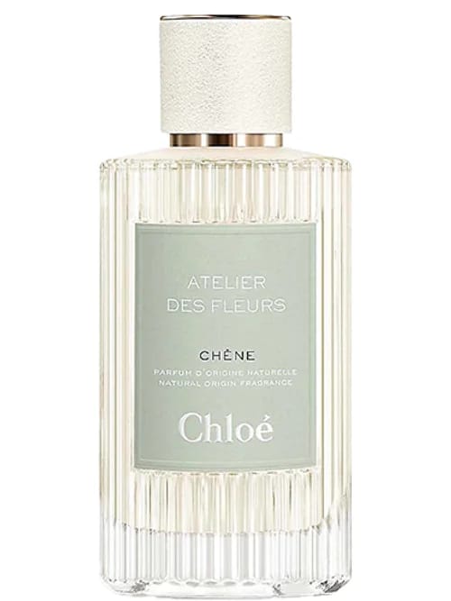 Chêne by Chloé