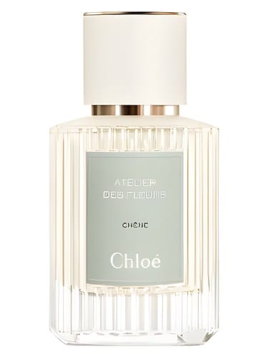Chêne by Chloé