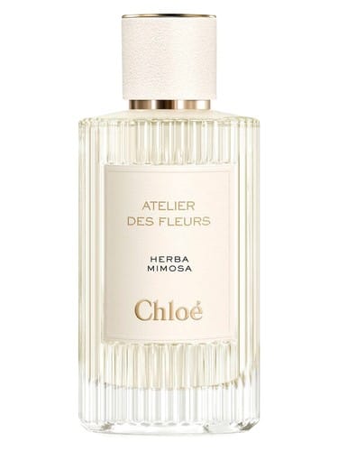 Herba Mimosa by Chloé