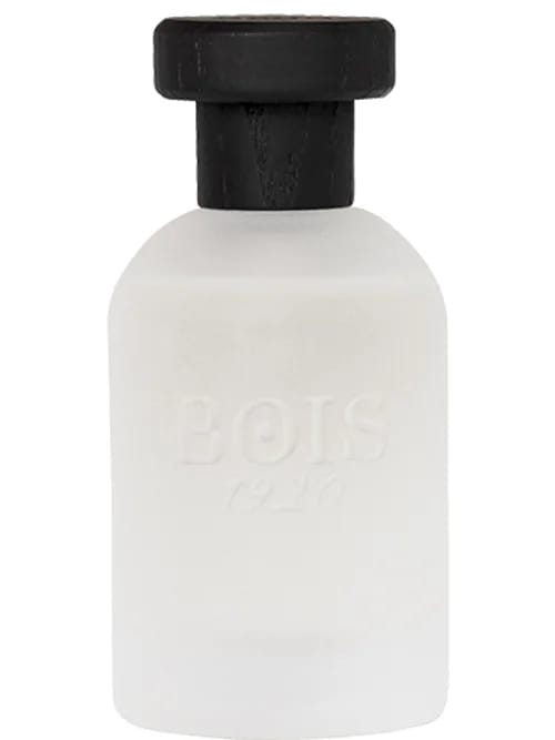 Classic 1920 by Bois 1920