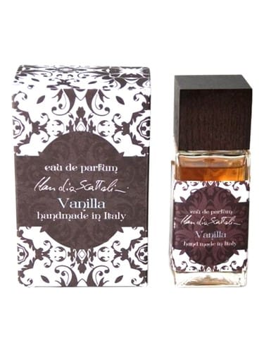 Vanilla by Claudia Scattolini