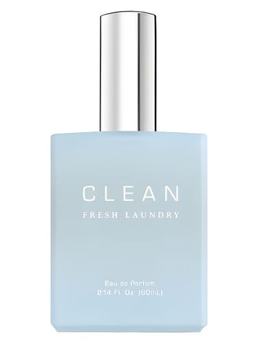Fresh Laundry by Clean
