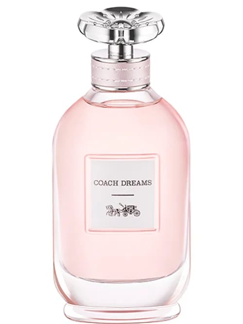 Dreams by Coach