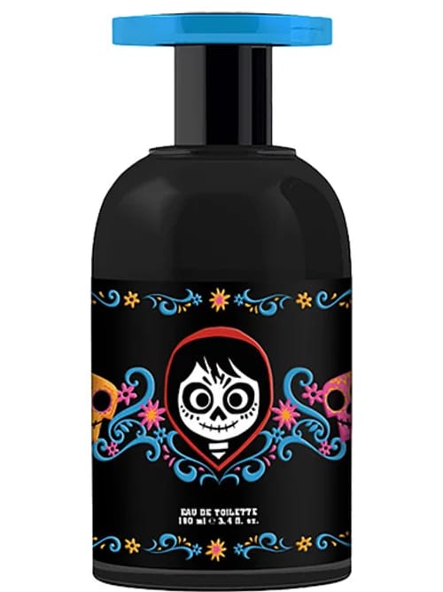 Coco Teenage Boy by Disney