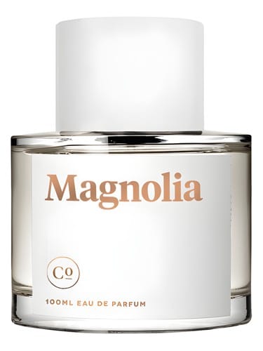 Magnolia by Commodity
