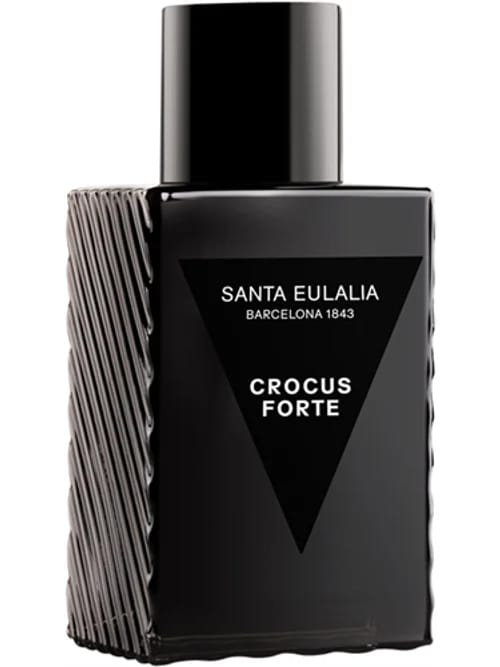 Crocus Forte by Santa Eulalia