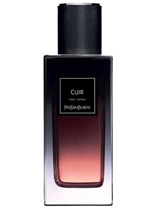 Cuir : Collection De Nuit by Yves Saint Laurent