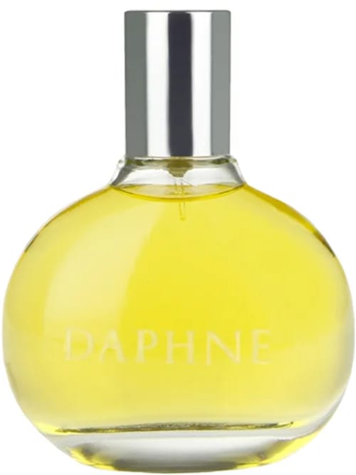 Daphne by Comme Des Garçons
