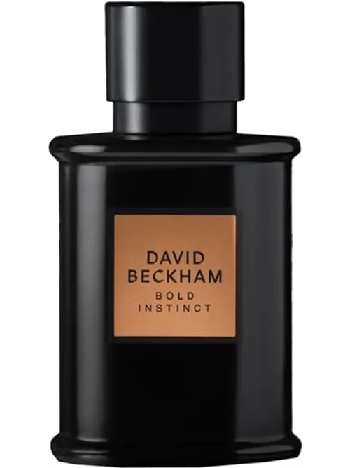 Bold Instinct by David Beckham