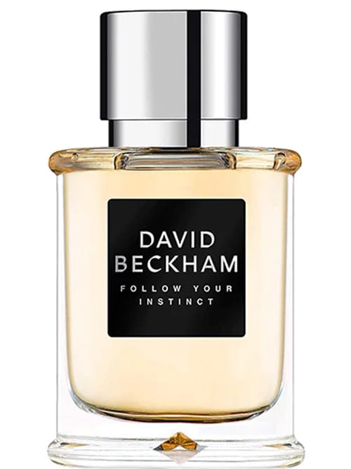 Follow Your Instinct by David Beckham