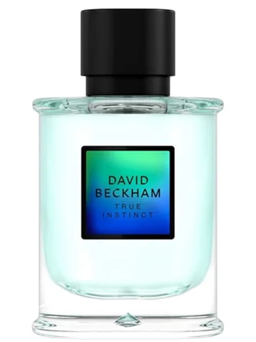 True Instinct by David Beckham