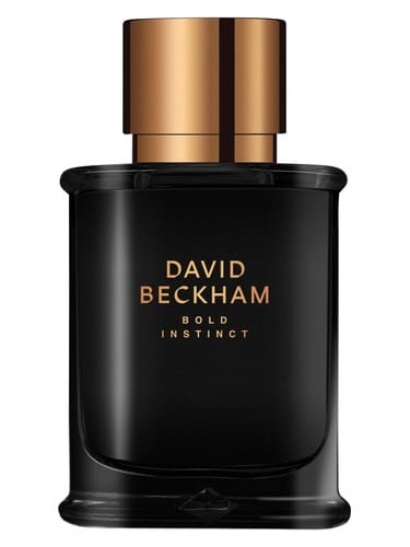 Bold Instinct by David Beckham