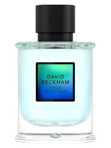 David Beckham True Instinct by David Beckham
