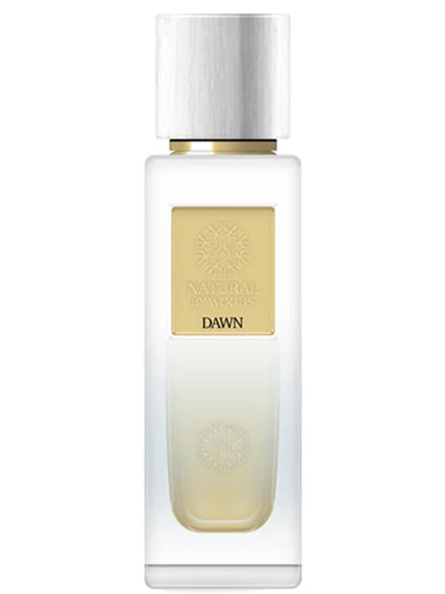 Dawn by The Woods Collection