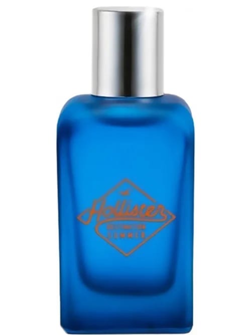 Destination Summer For Him by Hollister