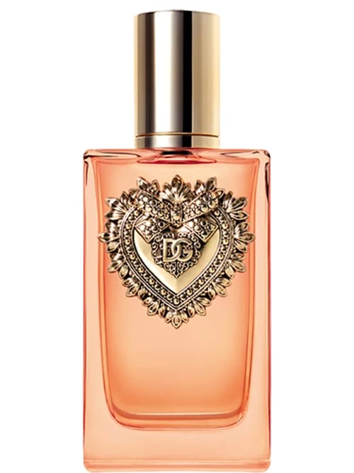 Devotion Intense by Dolce & Gabbana