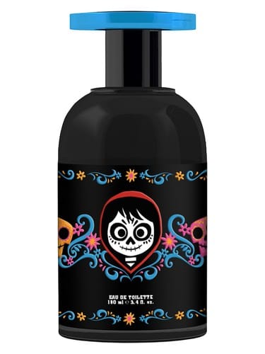 Coco Teenage Boy by Disney