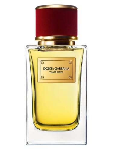 Velvet Desire by Dolce & Gabbana