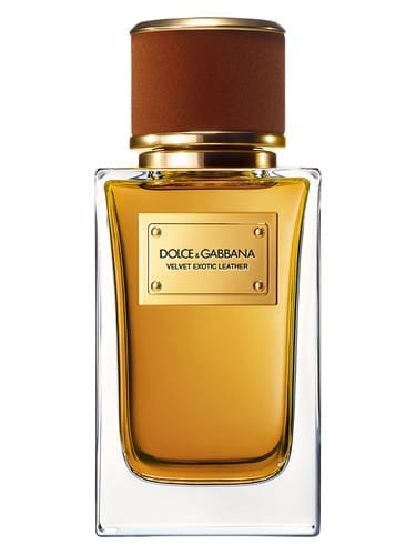 Velvet Exotic Leather by Dolce & Gabbana