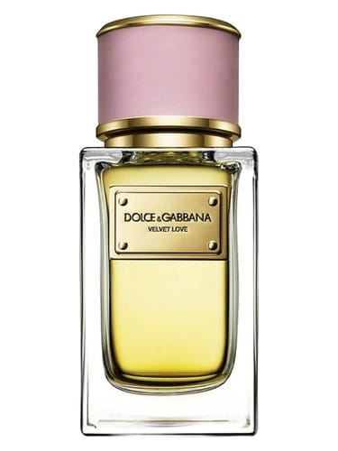 Velvet Love by Dolce & Gabbana