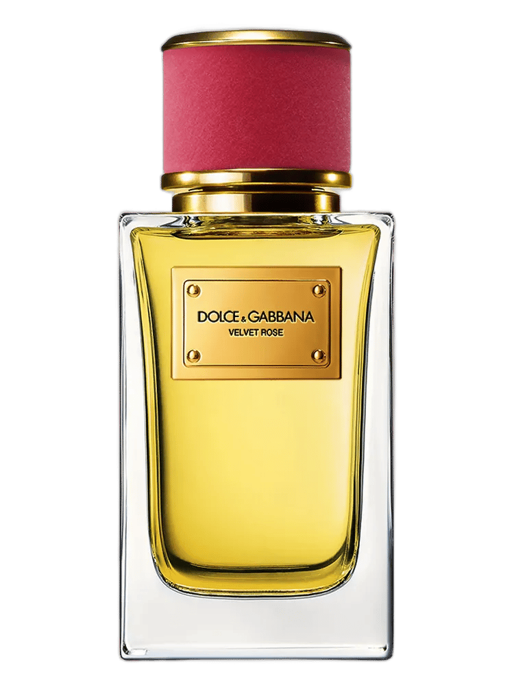 Velvet Rose by Dolce & Gabbana