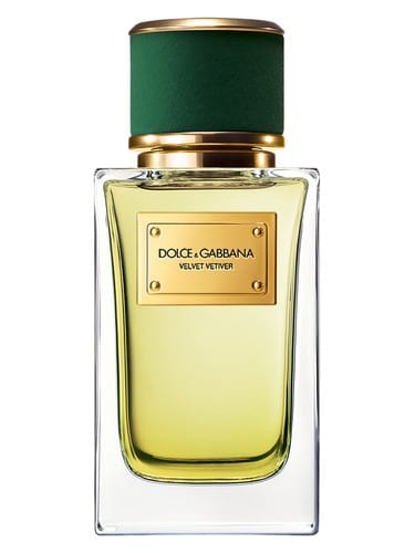 Velvet Vetiver by Dolce & Gabbana