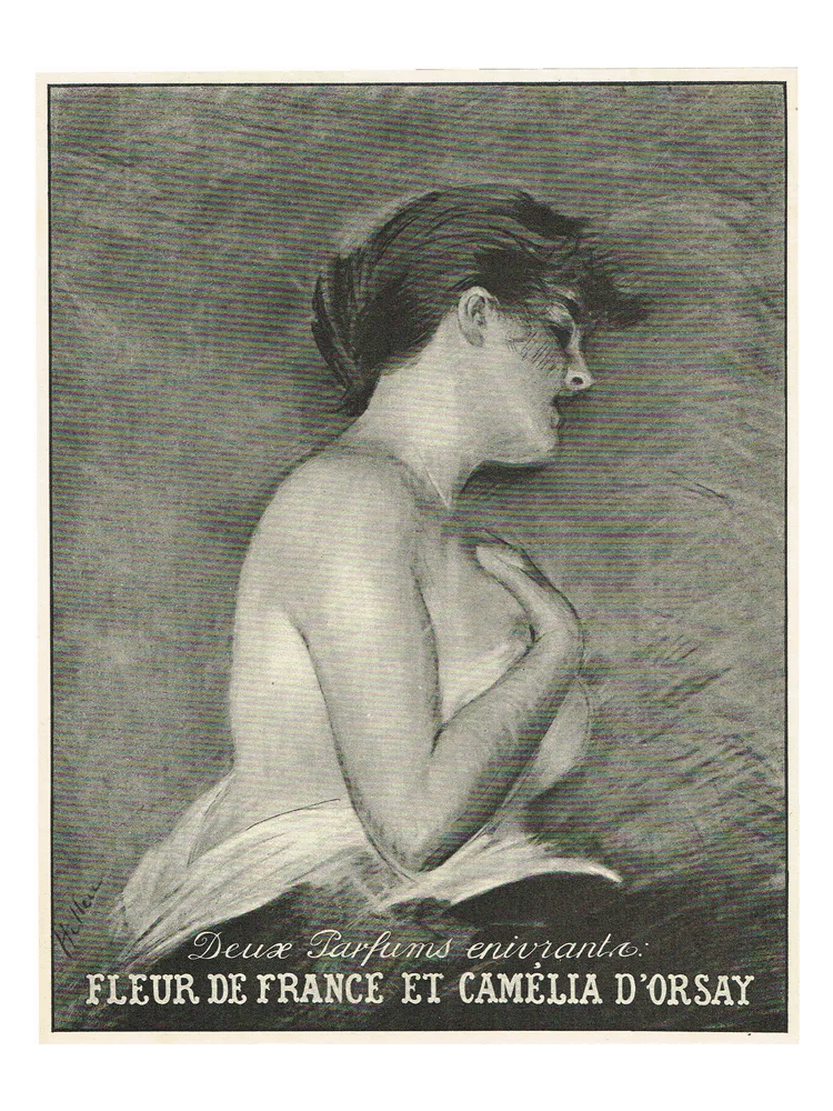 Camelia by D'Orsay