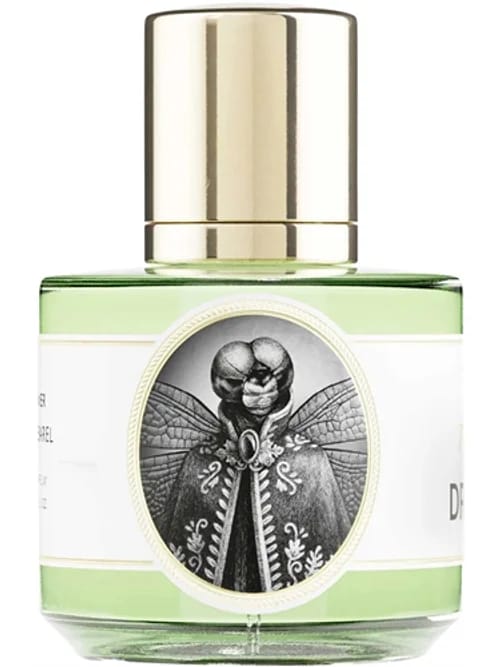 Dragonfly by Zoologist