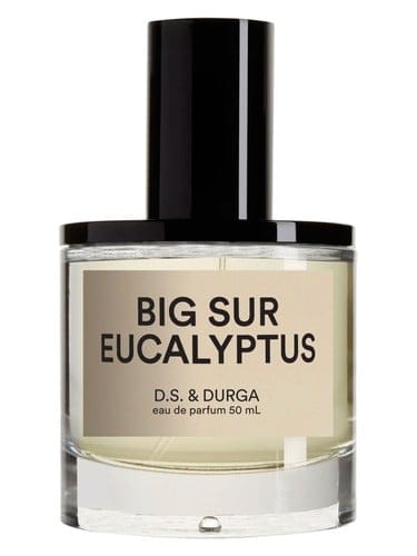 Big Sur Eucalyptus by D.S. & Durga