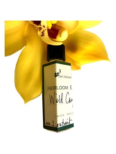 Wild Coyote by Dsh Perfumes