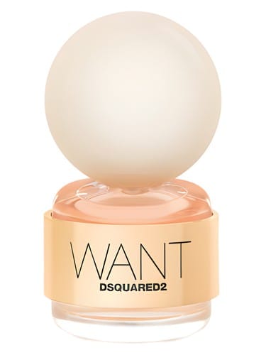 Want by Dsquared2